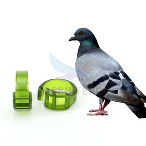 Hoge Kwaliteit 15.28 Mm Groene Kleur Gevogelte En Grote Vogels Ringen Open Plastic Voet <span class=keywords><strong>Ring</strong></span> Voor Valk - Product Image 1