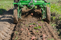 Récolteuse agricole de pommes de terre 22-35 CV avec haute productivité automatique et faible entretien pour carottes et ail