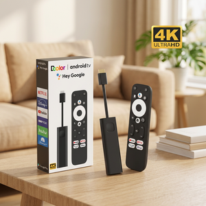 Boîtier TV certifié Dcolor GD2 Android 14 GTV DDR4 2+32G Android Google Smart WiFi, prise en charge 4K, multilingue, prix usine - Product Image 1