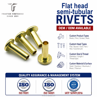 TianFang Rivets Semi-Tubulaires à Tête Plate OEM pour Machine Industrielle, Certifié IATF 16949