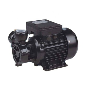 مضخات كهربائية من سلسلة DB125 w لسوق إندونيسيا - Product Image 2