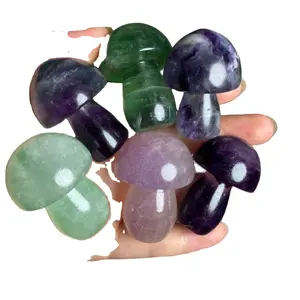 Giá rẻ nóng bán Top chất lượng fluorite Nấm