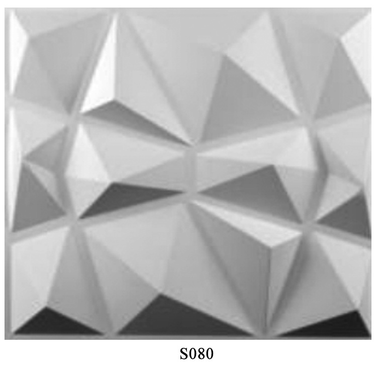 S080