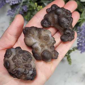 Nouveautés : Spécimen minéral naturel d'agate panda brute, pierre d'agate pictographique pour la décoration et la collection - Product Image 5