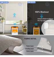 Stores enrouleurs électriques intelligents sans fil motorisés à batterie pour fenêtres, de la marque Win Battery Motor Electronic