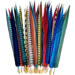 Plumas Artificiales de Faisán Reeves de 80cm, 100cm, 120cm, 150cm, Accesorio para Carnaval, Disfraces, Tocados y Decoración - Product Image 5