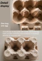 Cartons à œufs en pulpe 6 alvéoles moulés à partir de papier recyclé ----   Boîte personnalisée biodégradable avec logo, emballage écologique