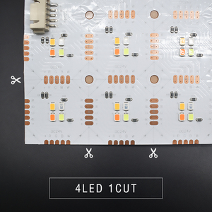 Bande LED SMD5050 RGBW DC24V 48W 5m/Rouleau Flexible et Découpable IP20 pour Éclairage de Bar et de Divertissement - Product Image 4