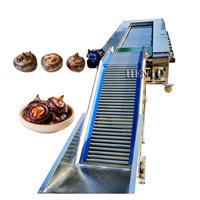 Hot Koop Tomaat Sorteren Machine/Elektronische Fruit Sorteermachine/Aardappel Grader Machine