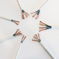 Câble flexible multiconducteur RVV 2-6 conducteurs 1,5-16 mm, fils de cuivre isolés en PVC, conducteur toronné H05VV-F