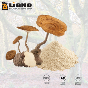 ผงสกัดเห็ดนมเสือ LiGNO TM02 บริสุทธิ์ วัตถุดิบสำหรับเครื่องดื่มบำรุงสุขภาพปอด - Product Image 1