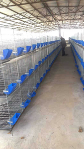 Jaula para Conejos Galvanizada con Nido, Equipo <span class=keywords><strong>de</strong></span> Cría para Madre e Hijo, Jaulas para Animales <span class=keywords><strong>de</strong></span> Granja o Casa - Product Image 4