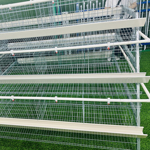 Corral de Varios Niveles <span class=keywords><strong>para</strong></span> <span class=keywords><strong>Gallinas</strong></span> Ponedoras en Condición Nueva, Jaula Casera <span class=keywords><strong>para</strong></span> Mascotas de Granja, Gallinero de Cría por Capas en Venta - Product Image 6