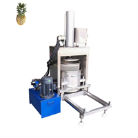Fruit Hydraulic Juice Press Fruit and Vegetable Press Automatic Filter Press