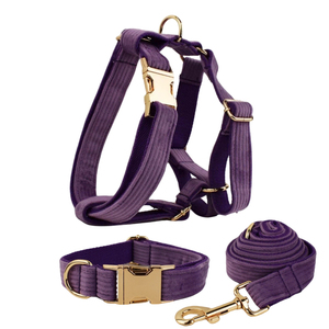 Collier et laisse pour chien en velours côtelé, design classique PUPE, accessoires pour chiot, harnais de promenade, ensemble personnalisable avec logo, vente en gros - Product Image 3
