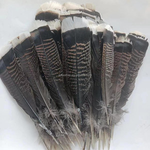 ขนนกไก่งวงธรรมชาติขนาด6-8นิ้วสำหรับตกแต่ง - Product Image 1