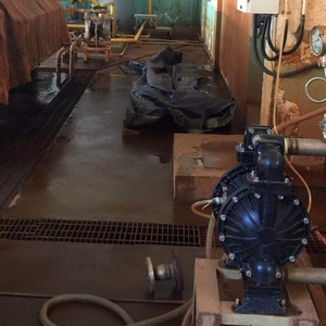 Износостойкий пневматический двухмембранный топливный насос из алюминиевого сплава с пневмоприводом, сертифицированный CE, для автомобильного применения (OEM) - Product Image 4