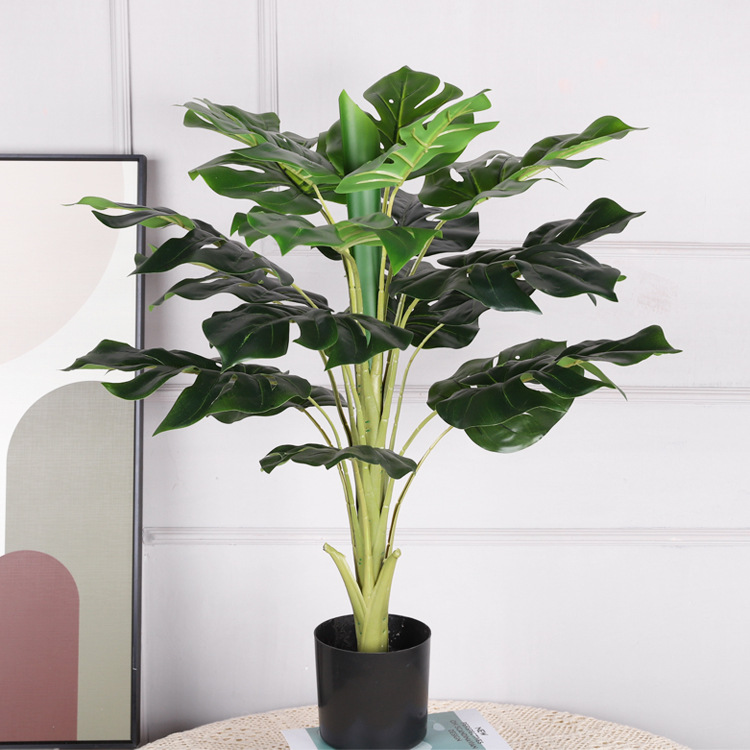 Monstera deliciosa de 18 hojas de 77CM