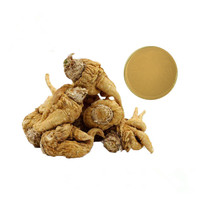 Extrait de racine de maca naturelle en poudre, poudre de maca de haute qualité pour complément alimentaire