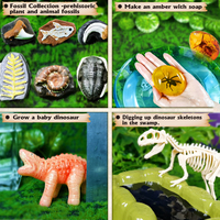 BIG BANG SCIENCE Fabricante de Juguetes ODM/OEM, Kit de Excavación de Fósiles de Dinosaurios para Niños, Juguete Educativo STEAM de Criaturas Prehistóricas, Regalo