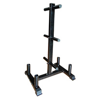 Arbre stockage acier poids plaque maison Gym poids stockage haltère support support plaque support et haltère support banc