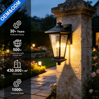 Lanterne murale LED extérieure classique, design vague d'eau, lumière du jour 5000K, étanche, boîtier en aluminium noir, pour jardin et porche