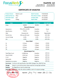 สารสกัดจากใบมะกอกเกรดอาหาร FocusHerb ผงสกัดสมุนไพร  HPLC 10% 20% 30% กรดมาสลินิก - Product Image 4