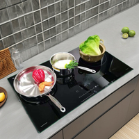 Cuisinière à induction multi-têtes haute puissance Four électrique en céramique intégré Efficacité énergétique Usage domestique Sortie d'usine