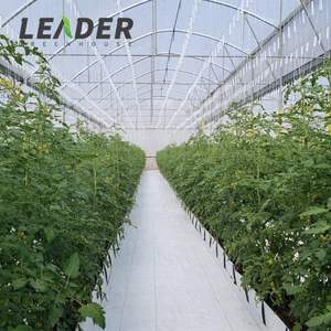 Farming <strong>Vegetable</strong> Greenhouse 100% New Soilless Cultivation 0.8mm PP Gutter groove Black Planting <strong>Trough</strong> for Growing Media - Product Image 4
