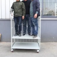 Chariot de stockage industriel robuste avec roues et conteneur en maille pour entrepôt