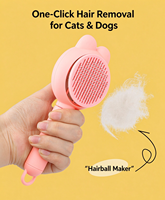 Kit de toilettage pour animaux 3 en 1 : brosse à aiguilles en acier, peigne anti-puces, coupe-ongles, démêlage, nettoyage, antidérapant pour chats et chiens