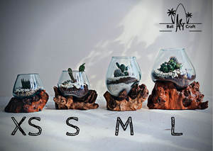 Benutzer definierte unregelmäßige Formen Glas vasen Terrarien Holz Tretlager DIY Geschenk pflanzung Grow <span class=keywords><strong>Terrarium</strong></span> Kit für Kinder - Product Image 4