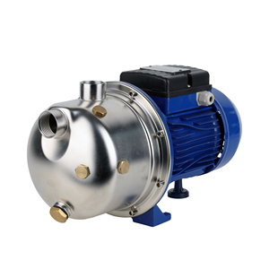 Pompe centrifuge auto-amorçante monophasée pour puits peu profond domestique et irrigation de jardin - Product Image 2