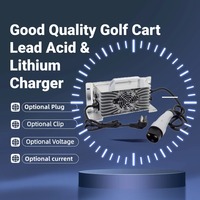 Chargeur de batterie pour voiturette de golf 24V 48V 60V 30A 35A pour batteries au lithium LifePO4 et au plomb-acide, certifié UKCA CE ROHS, garantie 12 mois