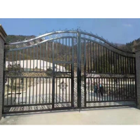 Conception de porte principale de fantaisie en fer forgé antique de luxe Porte d'allée Design de jardin Porte en acier à vendre