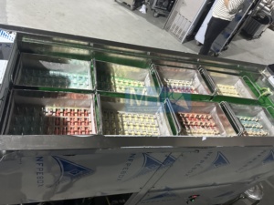 8 khuôn mẫu công nghiệp <span class=keywords><strong>Ice</strong></span> Pop dây chuyền sản xuất/<span class=keywords><strong>Ice</strong></span> <span class=keywords><strong>Cream</strong></span> <span class=keywords><strong>Lolly</strong></span> Stick Máy Làm/<span class=keywords><strong>Ice</strong></span> <span class=keywords><strong>Lolly</strong></span> Maker Máy - Product Image 2