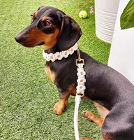 Collier pour chien personnalisé fait main, fleur douce, puissance des fleurs, collier pour chien personnalisé, collier en paracorde tressé, breloque perlée, collier pour animaux de compagnie