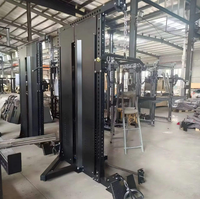 Machine intégrée de musculation à double poste pour tirage à la corde et lat pulldown |   Gymnase à domicile robuste |   Équipement d'entraînement pour la force musculaire du dos