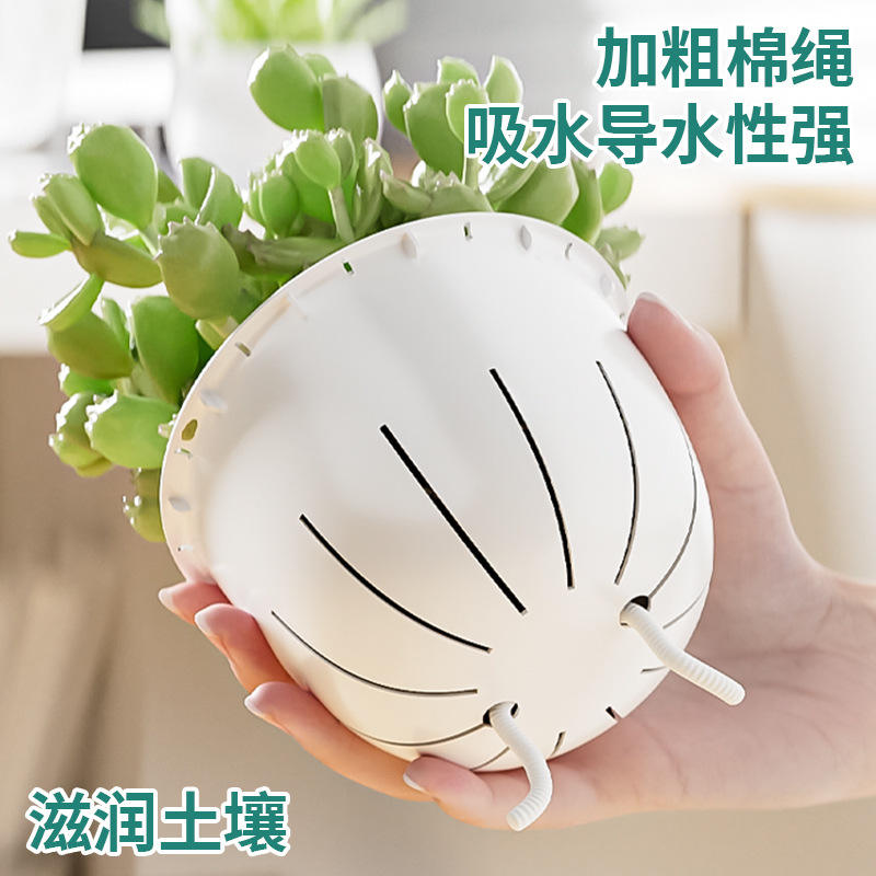 10 cordes individuelles en coton absorbant