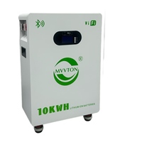 Batterie de stockage d'énergie LiFePO4 MVVTON 51.2V 200Ah 10.24kWh sur roues avec WiFi et Bluetooth pour système solaire domestique