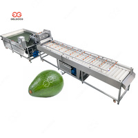 Industriële Maleisië Review Fruit Groente Reiniging Bubble Hash Wasmachine Voor Avocado