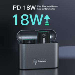 Chargeur rapide double USB C 18W pour batterie d'appareil photo NP-FZ100 compatible avec <span class=keywords><strong>Sony</strong></span> A7iii A7R <span class=keywords><strong>V</strong></span> A7R IV <span class=keywords><strong>Alpha</strong></span> A7C A9/A9S A6600A7R3 - Product Image 2