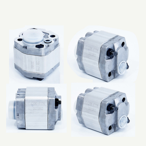 Pompa Idraulica a Micro-Ingranaggi CBK per Sistemi <span class=keywords><strong>Idraulici</strong></span> e Centraline di Potenza - Product Image 1