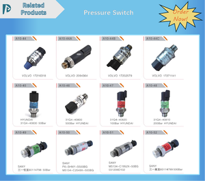 Sensor de Presión de Alta Calidad E324D E325D E329D E330C 161-1703 1611703 para Caterpillar - Product Image 4