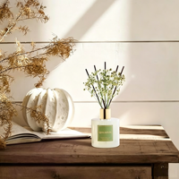Prêt pour le dropshipping, commande en gros, écologique, longue durée, parfum boisé frais de forêt de bambou, pour chambre, salle de bain, bureau, Bamboo Stream