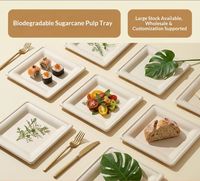 Assiette carrée jetable en bagasse écologique, coins arrondis, biodégradable, compostable, imperméable, sans danger pour les aliments, pour l'emballage alimentaire