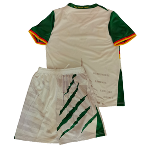 Sıcak satış fabrika doğrudan satış 2526 kamerun yeni futbol seti çabuk kuruyan nefes rahat forması - Product Image 5