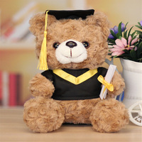 En gros Ours en peluche de graduation 25CM/10 pouces, Ours doctorant, Jouet animal en peluche, Jouet anti-stress, Cadeau personnalisable