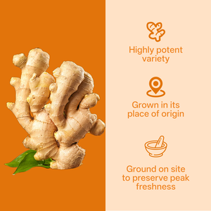 عينة مجانية من OEM مكمل الكركمين الكركم للبالغين مع خلاصة مخصصة قوة إضافية - Product Image 3