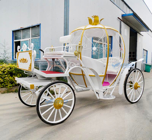 Carruaje de Cenicienta en Venta, Transporte Especial, Carruaje de Fantasía de Princesa Calabaza, Carruaje Eléctrico en Venta - Product Image 5